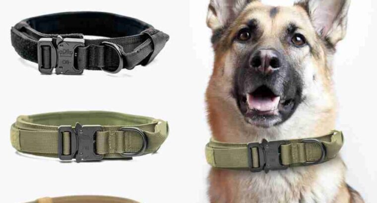 Dog Collar (Red Color)