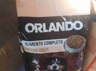 Orlando Dog Food For Sale