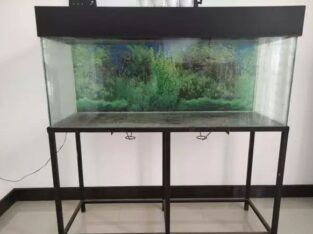 Fish Tank For Sale (4 Feet/Used)