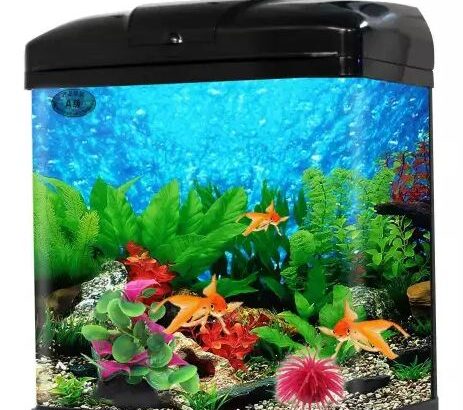 Aquarium With Filter & LED Light Fish Tank (XQ-320